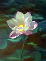 White Pink Lotus I